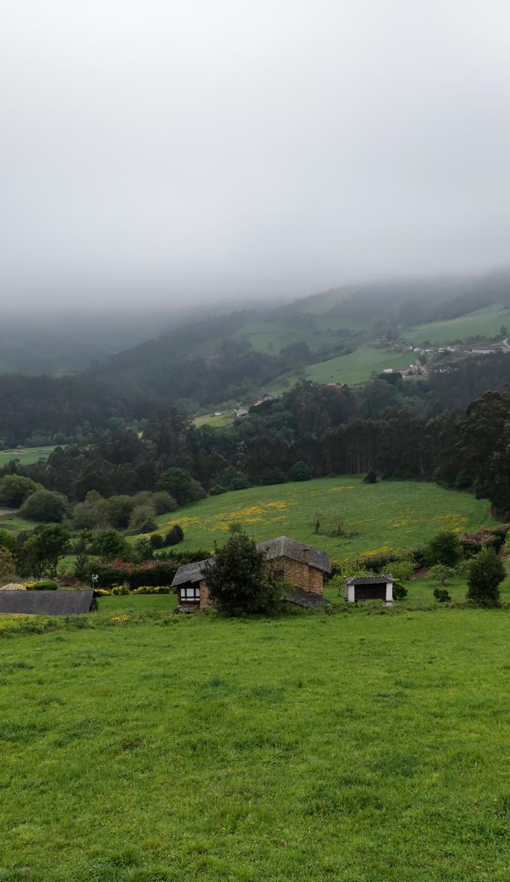 VALLE