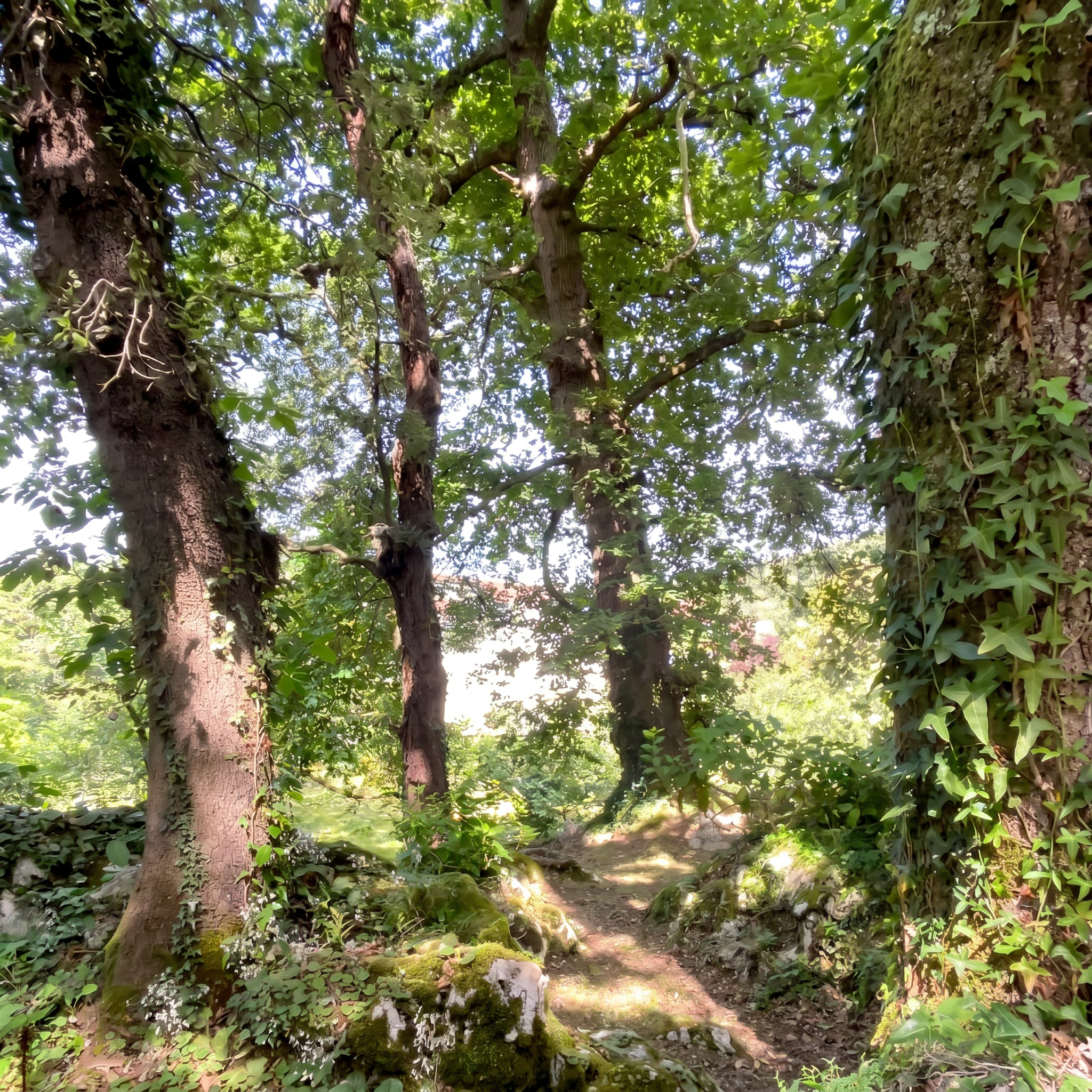 RAMALES 28